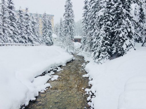 -Alberta Tours Company-Alberta Tours Company